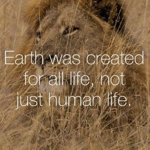 Meet your Posher, Daisy